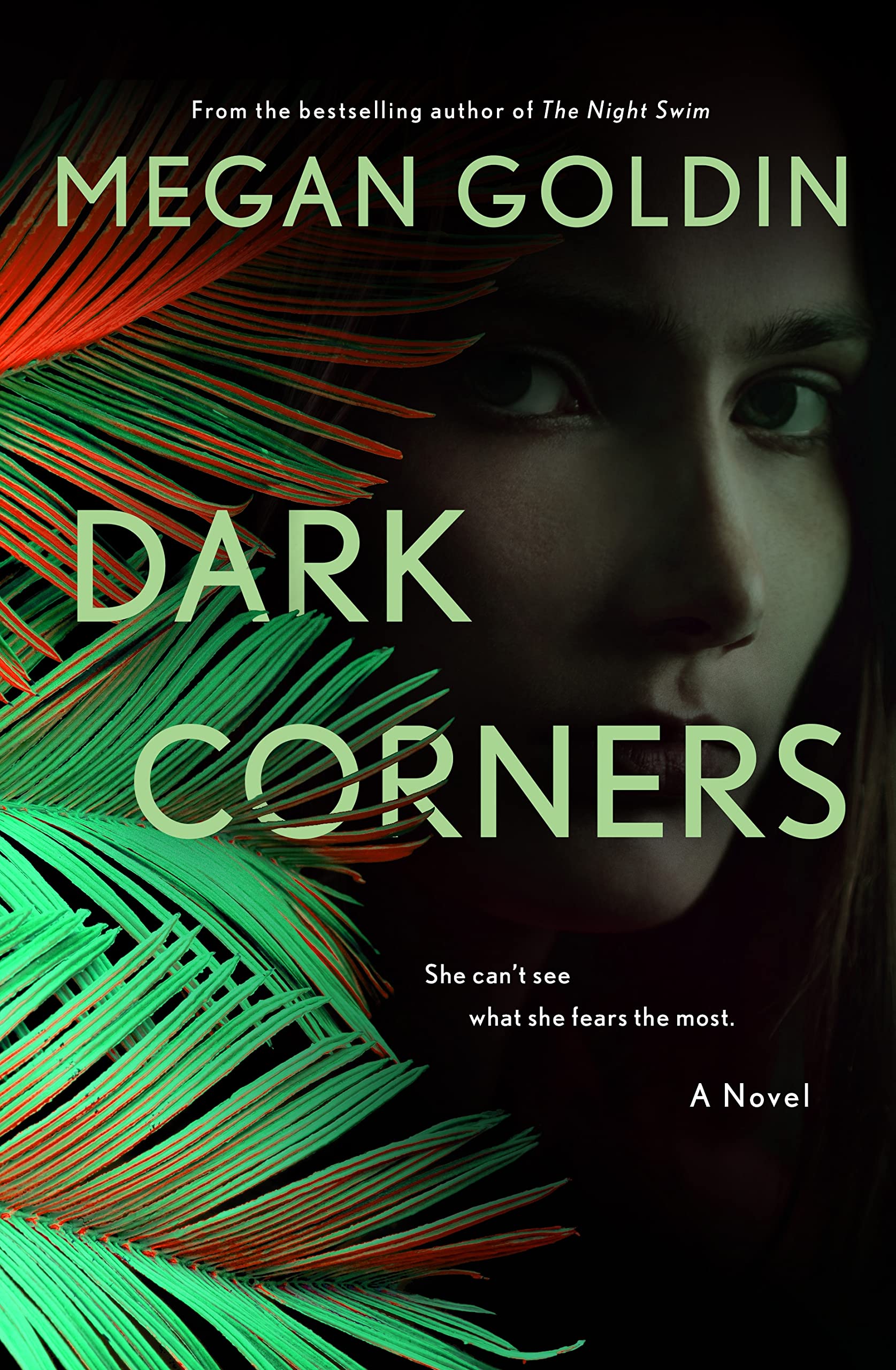 Dark Corners Book Cover